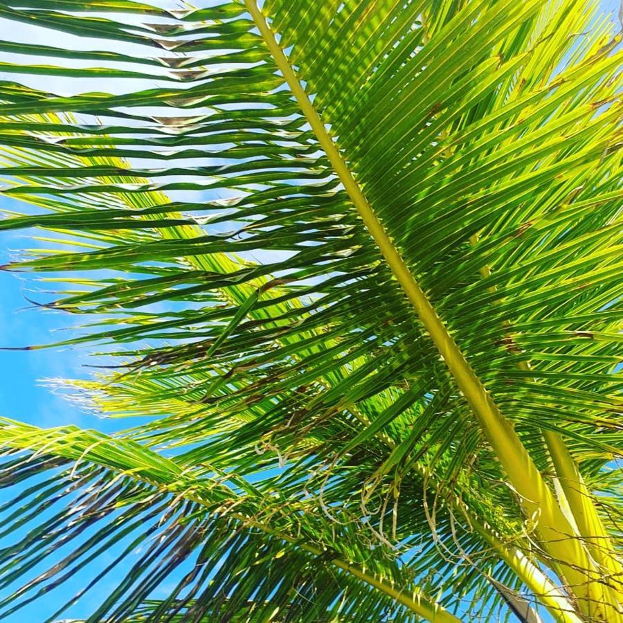 Praia De Itacimirim, Pe Na Areia Εξωτερικό φωτογραφία